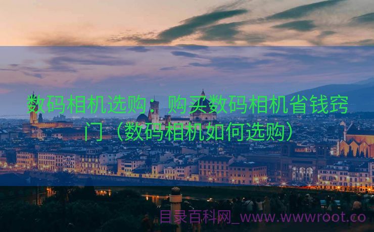 数码相机选购：购买数码相机省钱窍门（数码相机如何选购）
