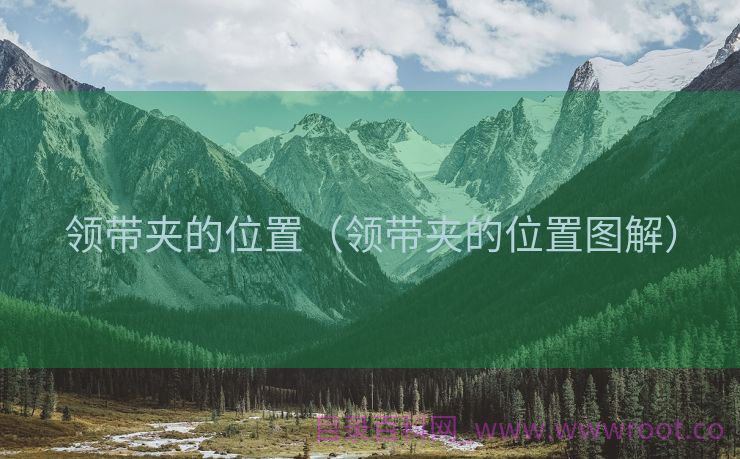 领带夹的位置（领带夹的位置图解）