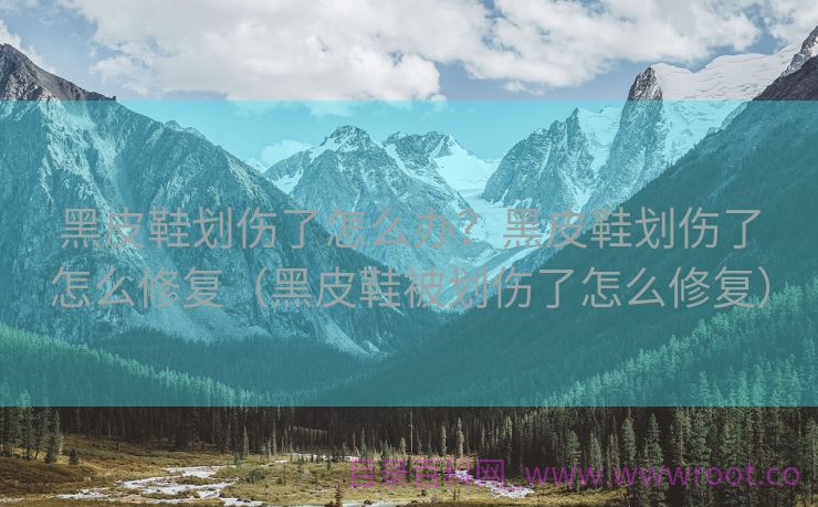 黑皮鞋划伤了怎么办？黑皮鞋划伤了怎么修复（黑皮鞋被划伤了怎么修复）