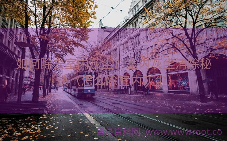 如何除去室内灰尘？室内灰尘清除秘诀（怎么除室内灰尘）