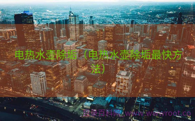 电热水壶除垢（电热水壶除垢最快方法）