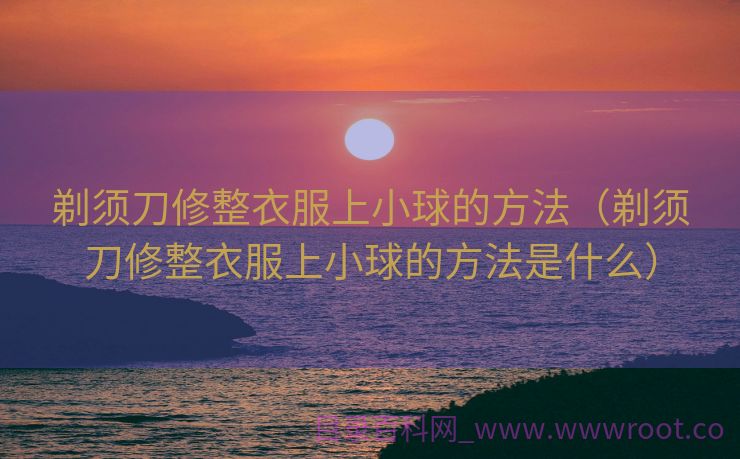 剃须刀修整衣服上小球的方法（剃须刀修整衣服上小球的方法是什么）