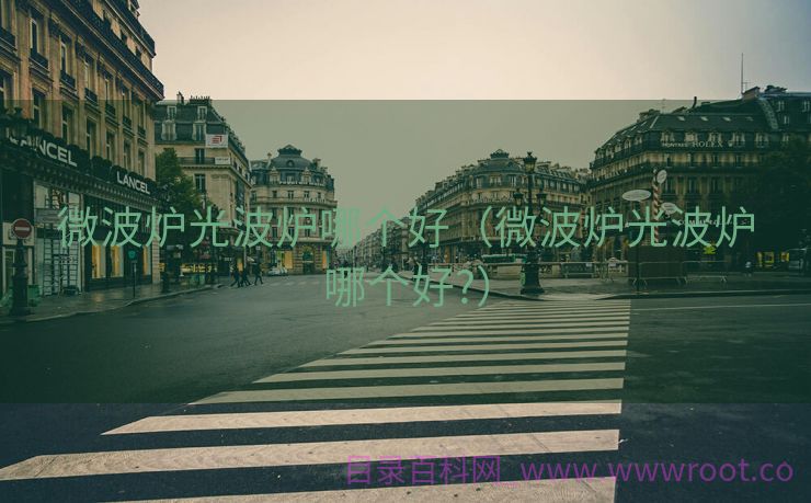 微波炉光波炉哪个好（微波炉光波炉哪个好?）