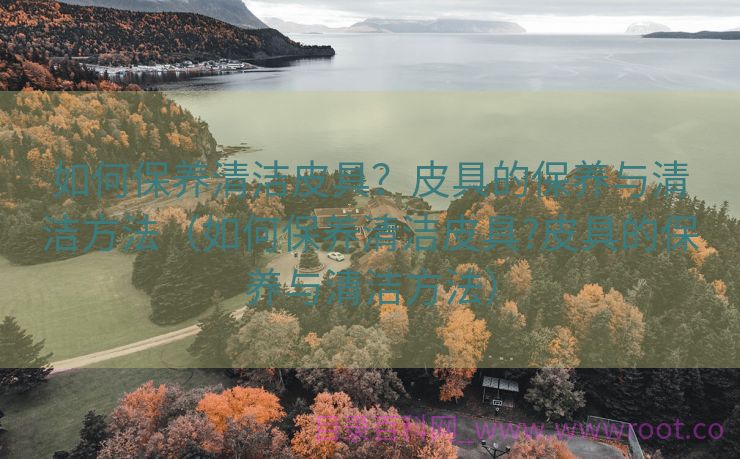 如何保养清洁皮具？皮具的保养与清洁方法（如何保养清洁皮具?皮具的保养与清洁方法）