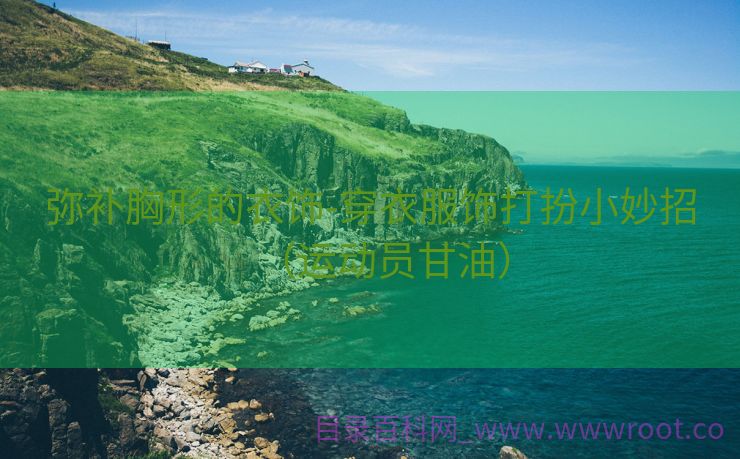 弥补胸形的衣饰-穿衣服饰打扮小妙招（运动员甘油）