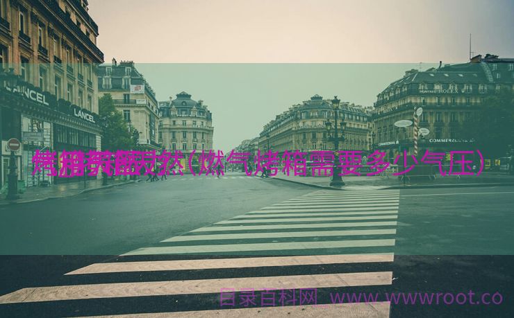 烤箱天然

气_烤箱天然

气用气压力（燃气烤箱需要多少气压）