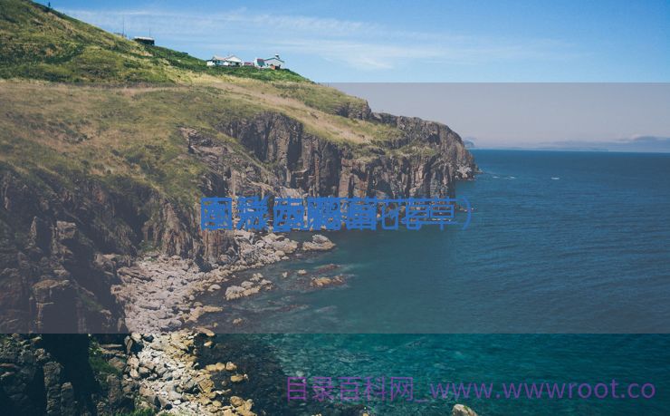 水彩画花草
图片_水彩花草
画法步调
图（水彩画 花草）