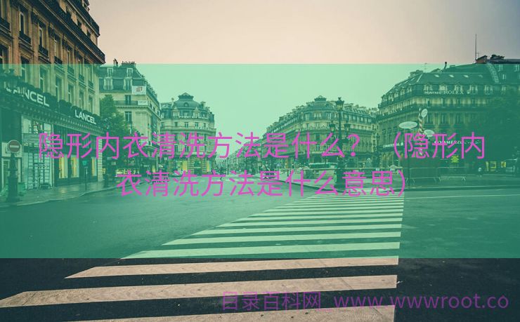 隐形内衣清洗方法是什么？（隐形内衣清洗方法是什么意思）