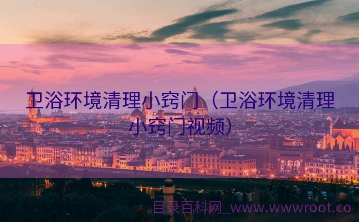 卫浴环境清理小窍门（卫浴环境清理小窍门视频）