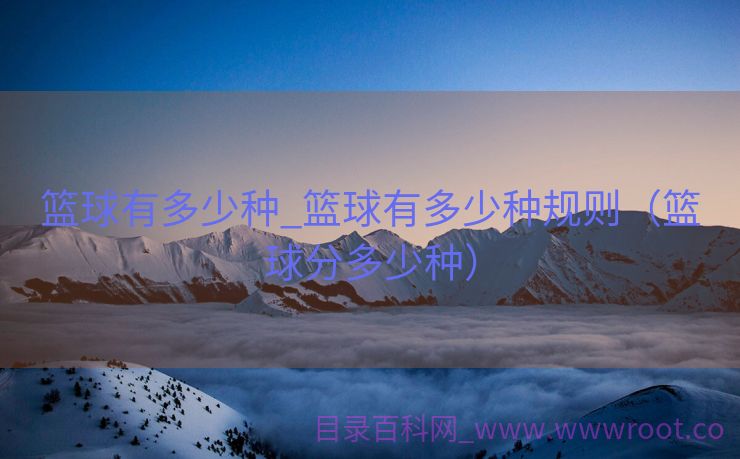 篮球有多少种_篮球有多少种规则（篮球分多少种）