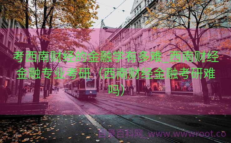 考西南财经的金融学有多难_西南财经金融专业考研（西南财经金融考研难吗）