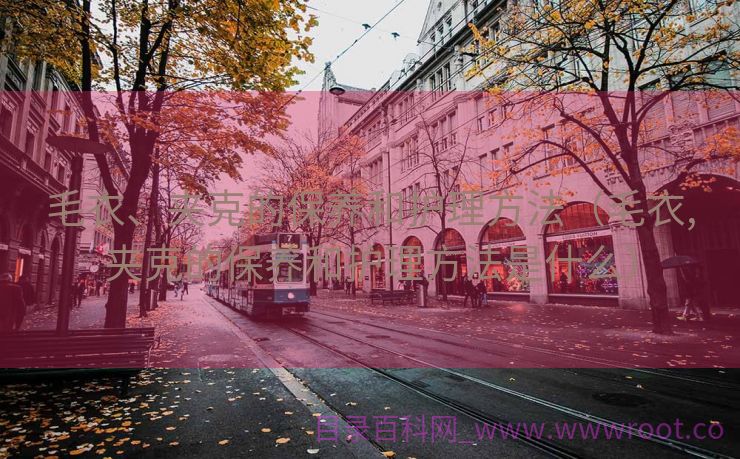 毛衣、夹克的保养和护理方法（毛衣,夹克的保养和护理方法是什么）