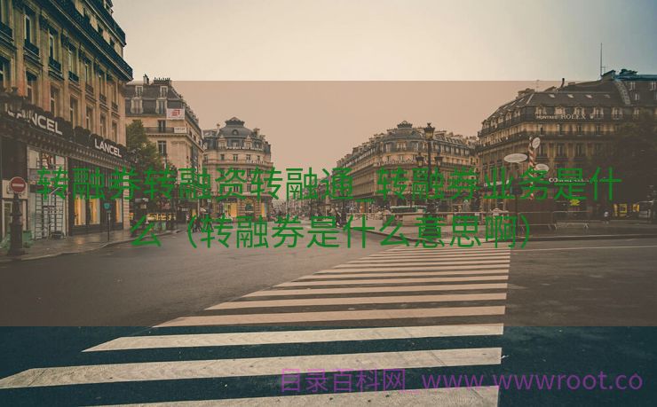 转融券转融资转融通_转融券业务是什么（转融券是什么意思啊）