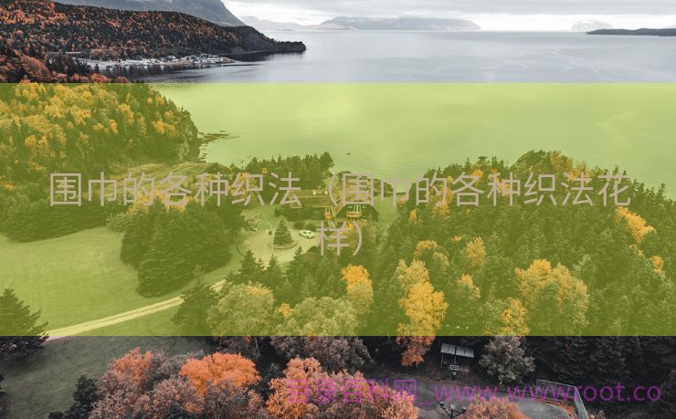 围巾的各种织法（围巾的各种织法花样）