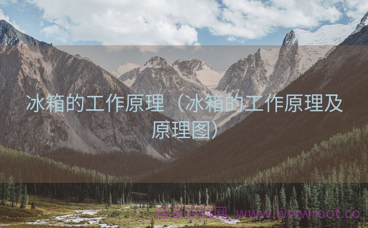 冰箱的工作原理（冰箱的工作原理及原理图）