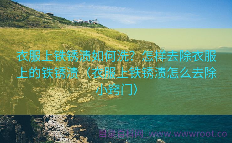 衣服上铁锈渍如何洗？怎样去除衣服上的铁锈渍（衣服上铁锈渍怎么去除小窍门）