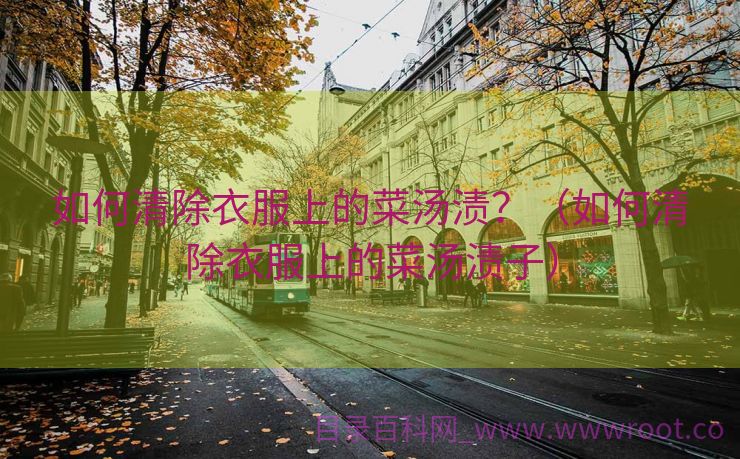 如何清除衣服上的菜汤渍？（如何清除衣服上的菜汤渍子）