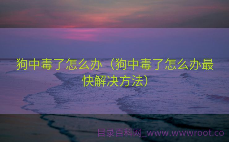 狗中毒了怎么办（狗中毒了怎么办最快解决方法）