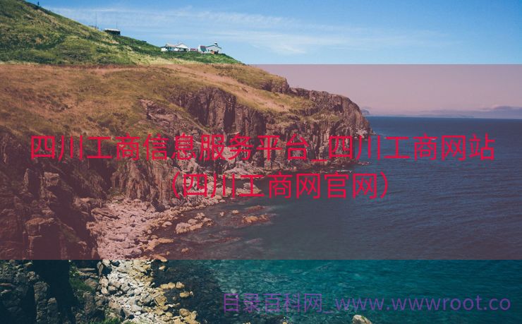 四川工商信息服务平台_四川工商网站（四川工商网官网）