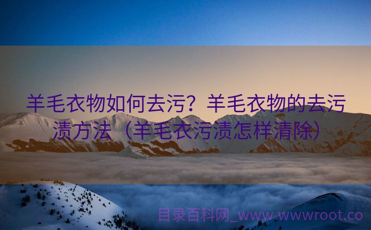 羊毛衣物如何去污？羊毛衣物的去污渍方法（羊毛衣污渍怎样清除）