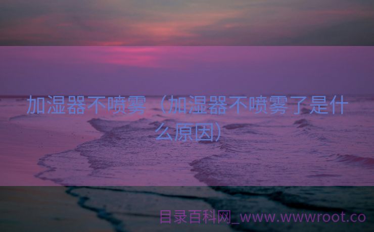 加湿器不喷雾（加湿器不喷雾了是什么原因）
