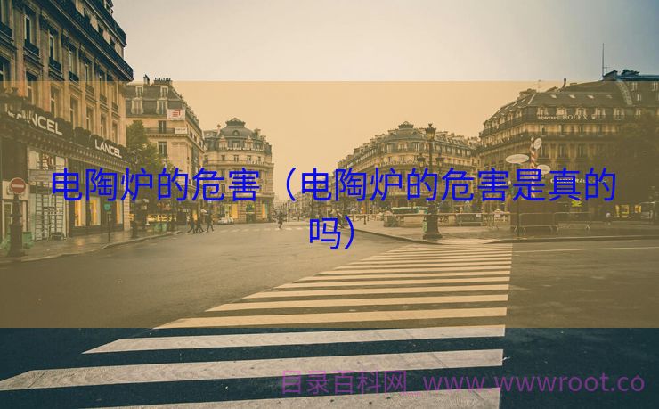 电陶炉的危害（电陶炉的危害是真的吗）
