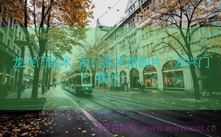 龙兴门武术_龙门武术馆图片（龙兴门餐饮）