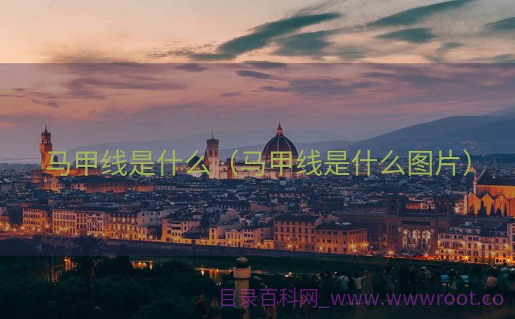马甲线是什么（马甲线是什么图片）