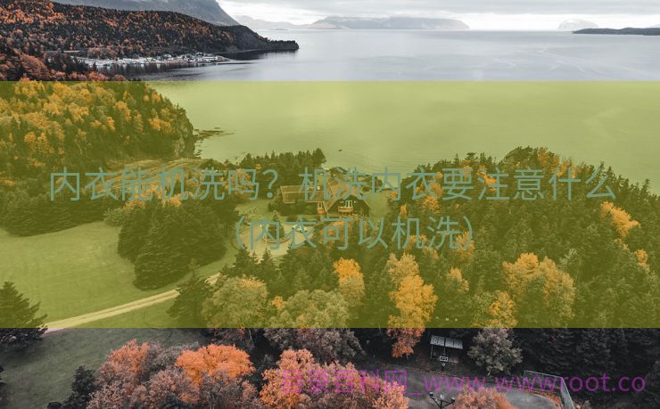 内衣能机洗吗？机洗内衣要注意什么（内衣可以机洗）