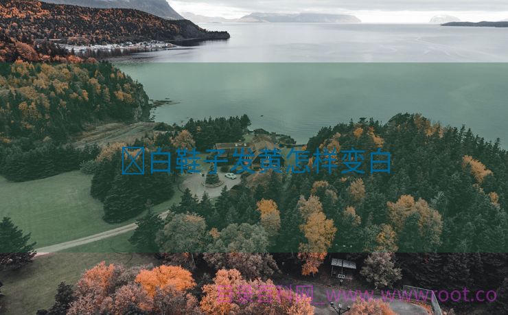 ​白鞋子发黄怎样变白