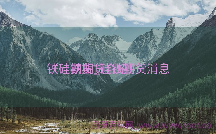 铁硅期货_硅铁期货消息
（硅铁期货介绍）