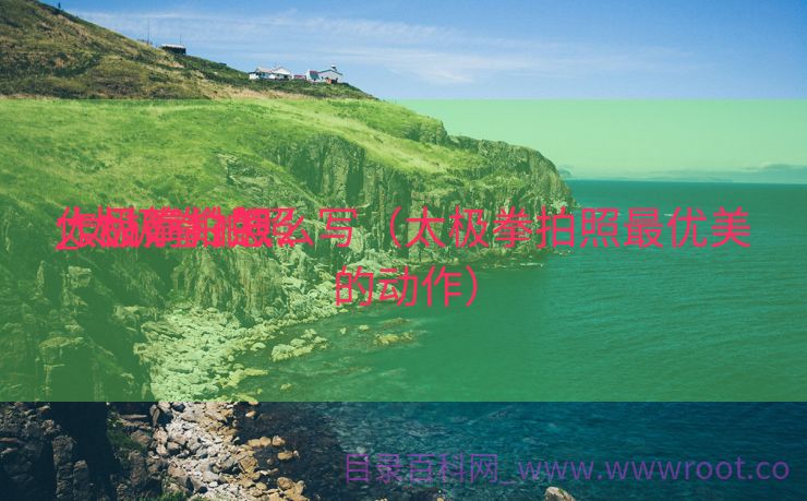 太极拳拍照
_太极拳拍照
作品简介怎么写（太极拳拍照最优美的动作）