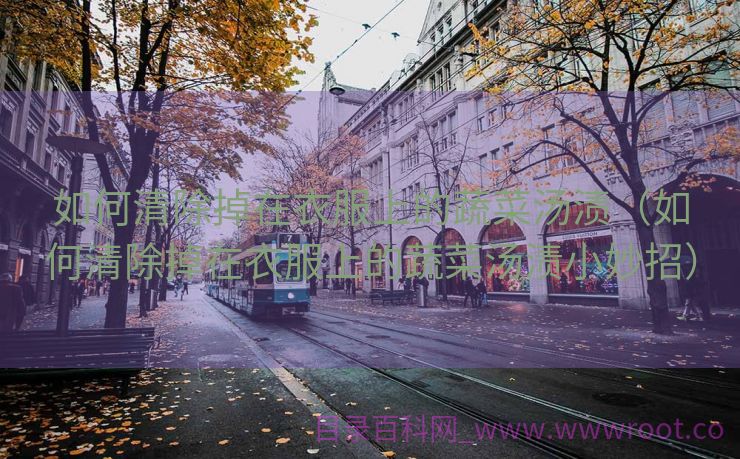 如何清除掉在衣服上的蔬菜汤渍（如何清除掉在衣服上的蔬菜汤渍小妙招）