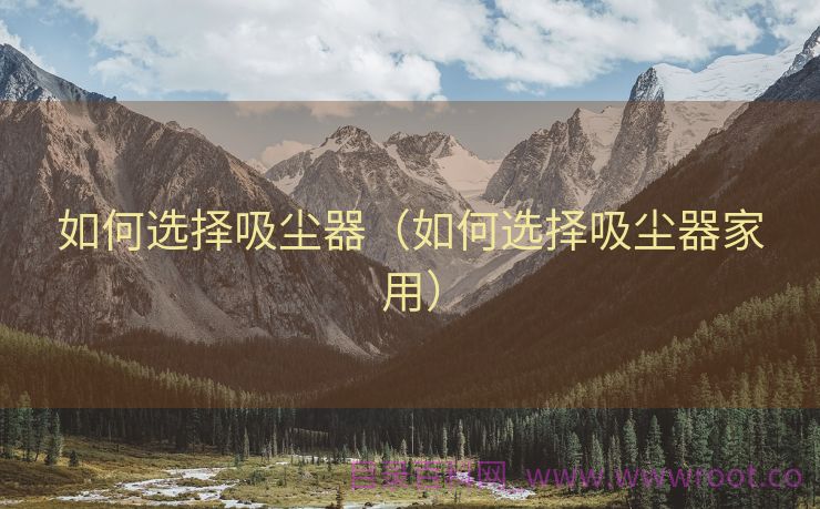 如何选择吸尘器（如何选择吸尘器家用）