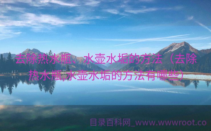 去除热水瓶、水壶水垢的方法（去除热水瓶,水壶水垢的方法有哪些）