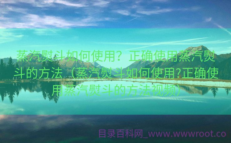 蒸汽熨斗如何使用？正确使用蒸汽熨斗的方法（蒸汽熨斗如何使用?正确使用蒸汽熨斗的方法视频）