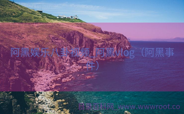 阿黑娱乐八卦视频_阿黑vlog（阿黑事件）