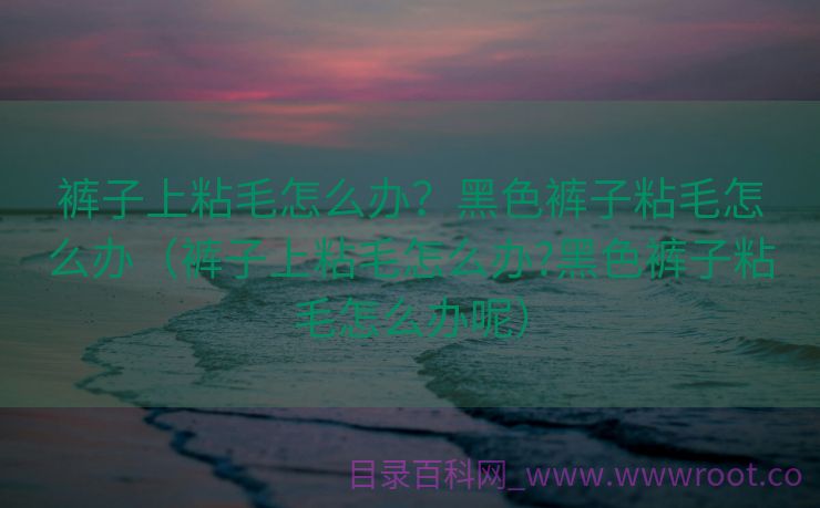裤子上粘毛怎么办？黑色裤子粘毛怎么办（裤子上粘毛怎么办?黑色裤子粘毛怎么办呢）