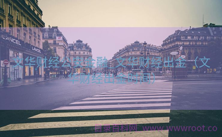 文华财经公安金融_文华财经出金（文华财经出金时间）