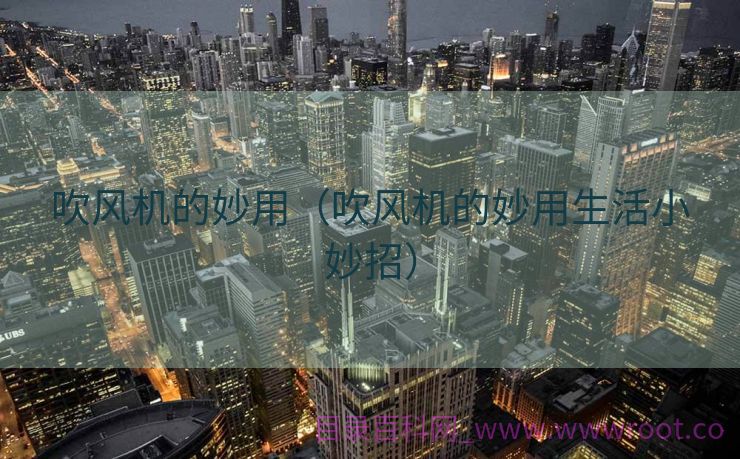 吹风机的妙用（吹风机的妙用生活小妙招）