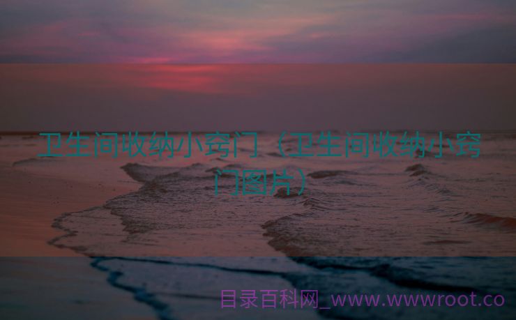 卫生间收纳小窍门（卫生间收纳小窍门图片）