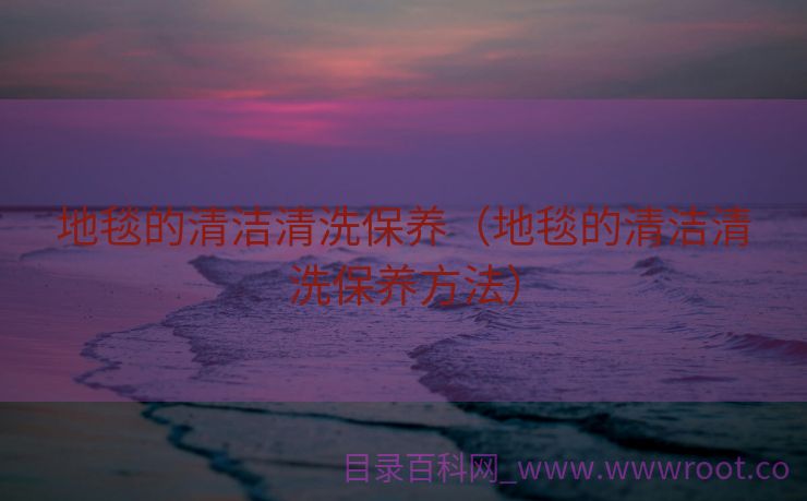 地毯的清洁清洗保养（地毯的清洁清洗保养方法）