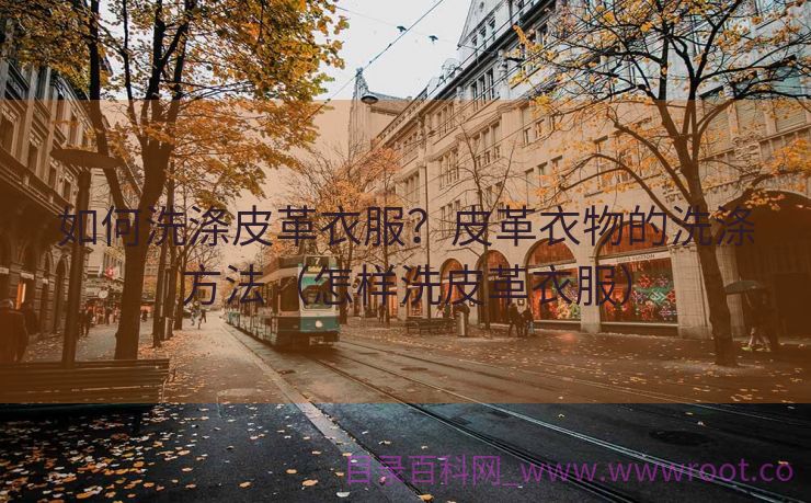 如何洗涤皮革衣服？皮革衣物的洗涤方法（怎样洗皮革衣服）