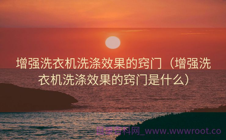 增强洗衣机洗涤效果的窍门（增强洗衣机洗涤效果的窍门是什么）