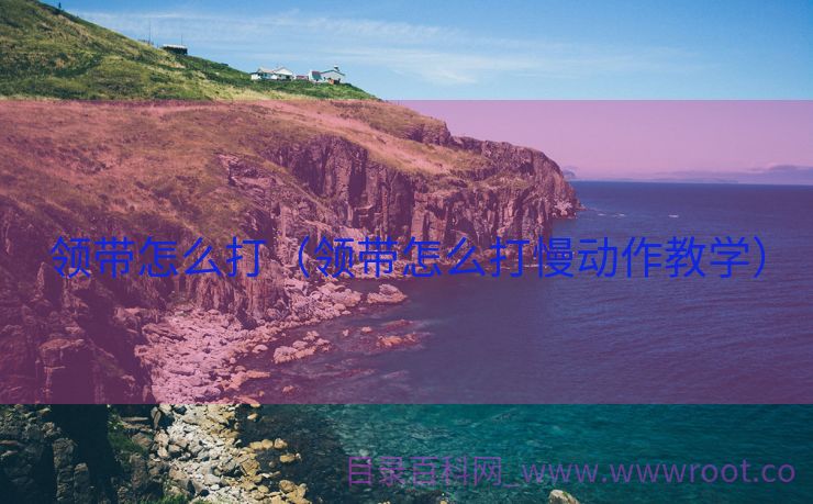 领带怎么打（领带怎么打慢动作教学）