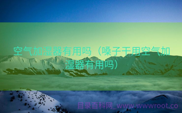 空气加湿器有用吗（嗓子干用空气加湿器有用吗）