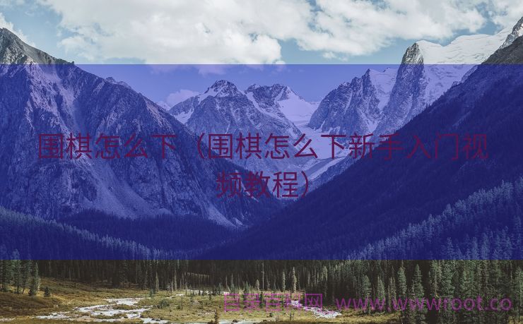 围棋怎么下（围棋怎么下新手入门视频教程）