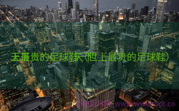 天下
上最贵的足球_天下
上最贵的足球鞋（世上最贵的足球鞋）