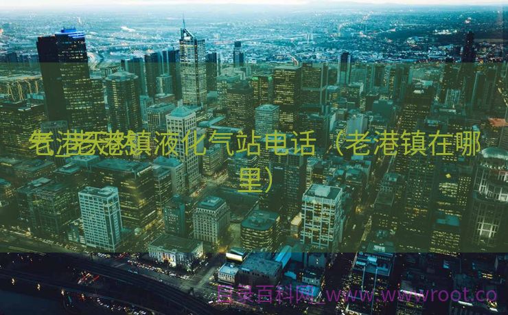老港天然

气_老港镇液化气站电话（老港镇在哪里）