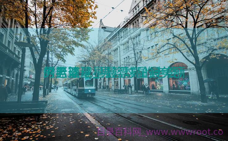 男篮球星_男篮球星最美丽
的老婆

（男篮球星最漂亮的老婆）